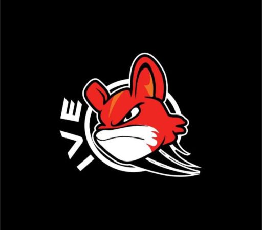 Logo IVE BASKETBALL