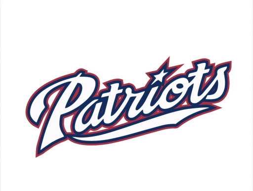 Logo PATRIOTS BLITAR